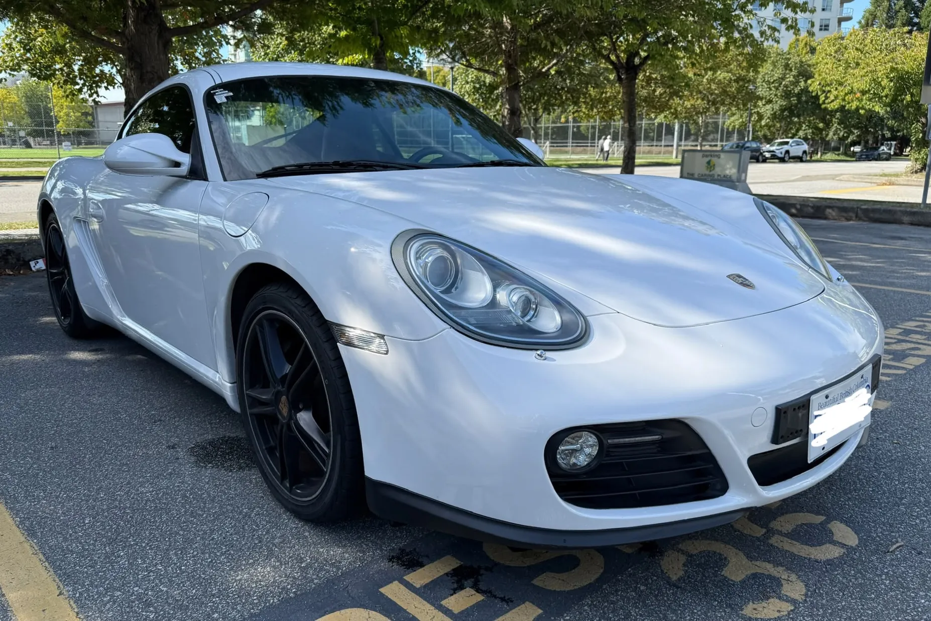1981 Porsche Cayman Base