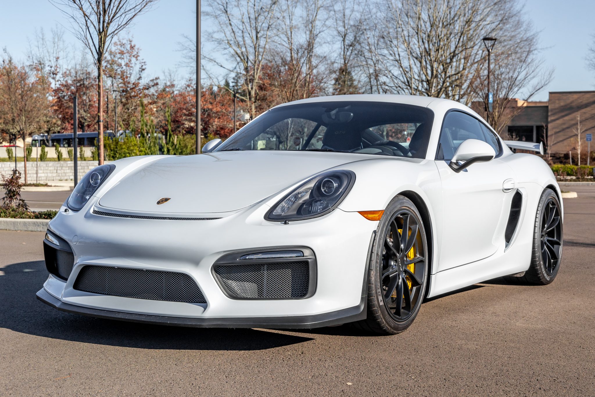 2016 Cayman GT4 photo 2