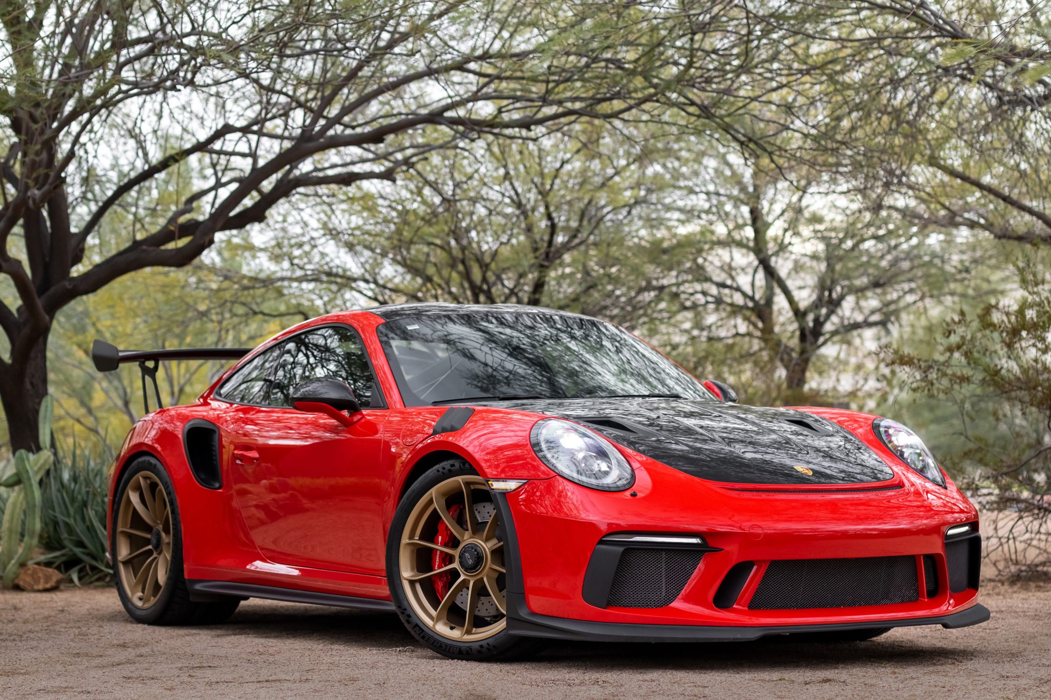 2019 Porsche 911 GT3 RS