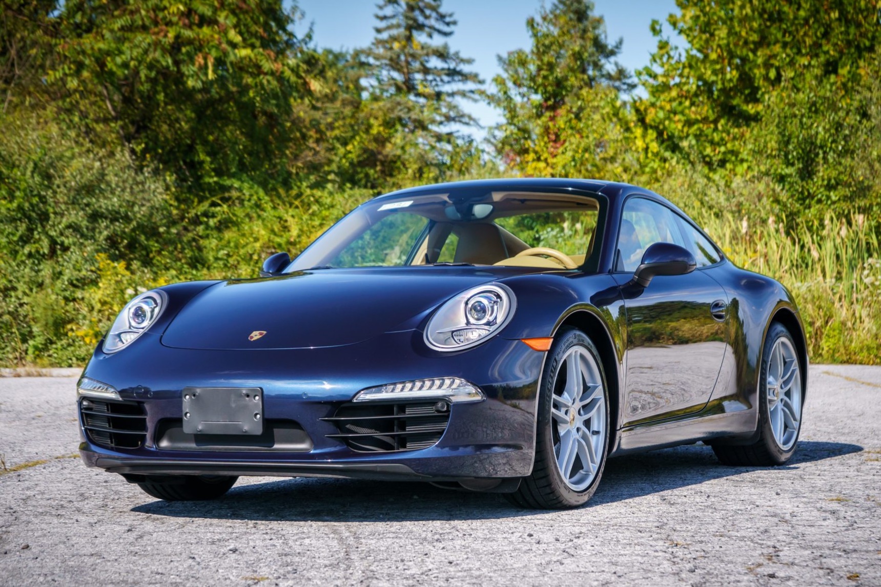 2013 911 Carrera photo 2