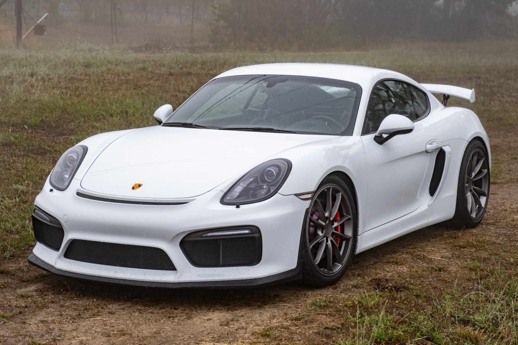2016 Cayman GT4 photo 2
