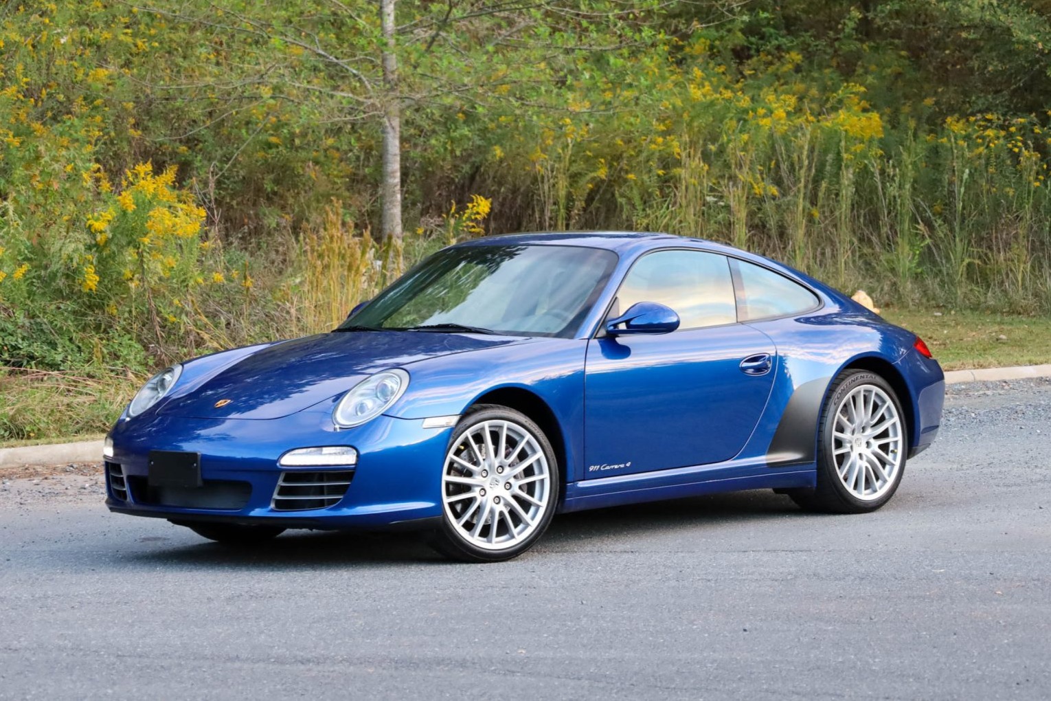 2009 911 Carrera 4 photo 2