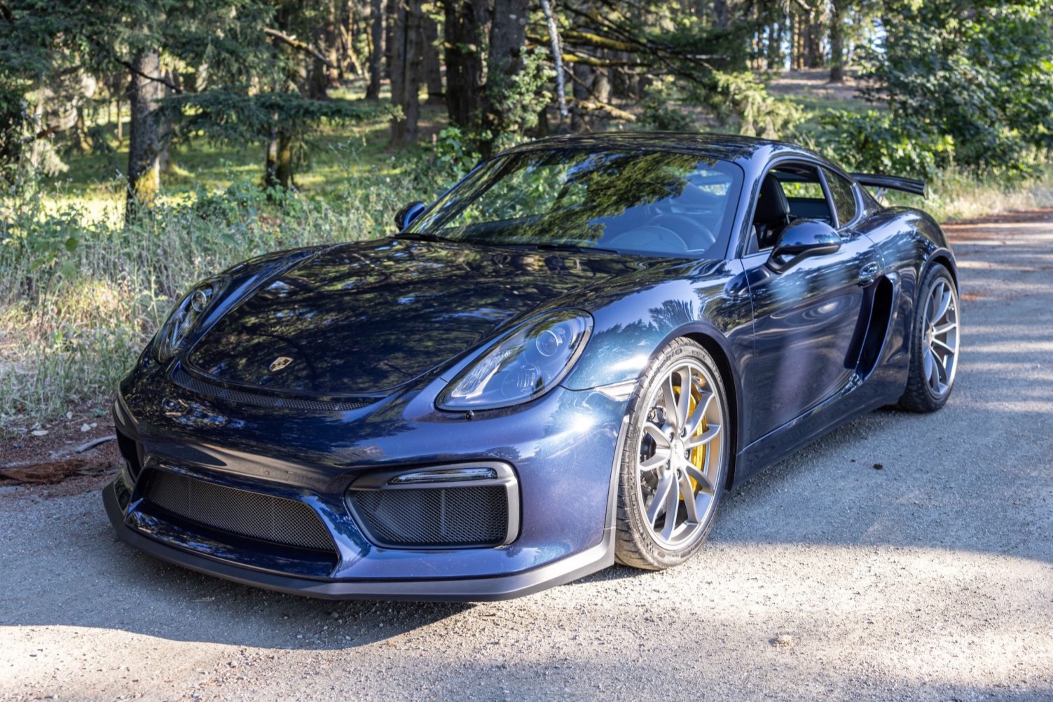 2016 Cayman GT4 photo 2