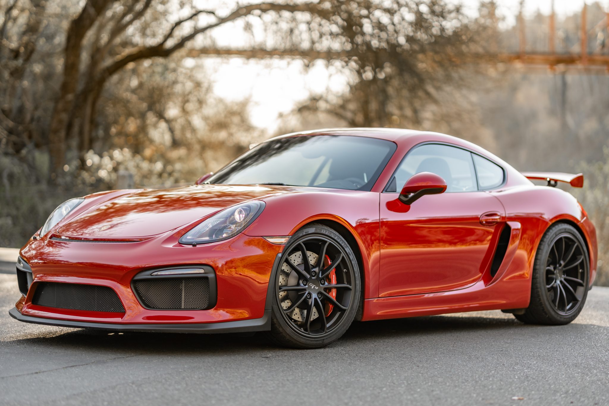 2016 Cayman GT4 photo 2