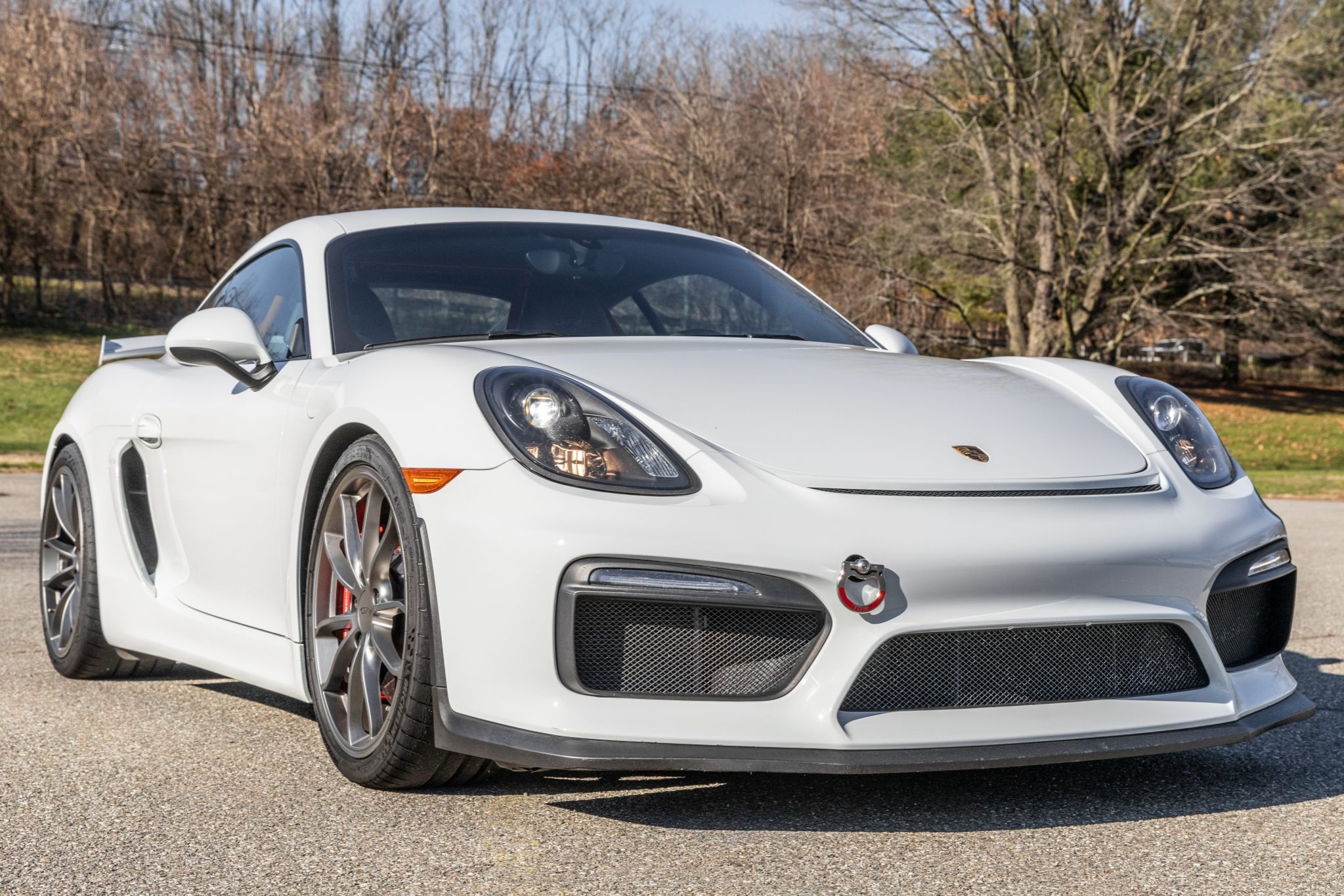 2016 Cayman GT4 photo 2
