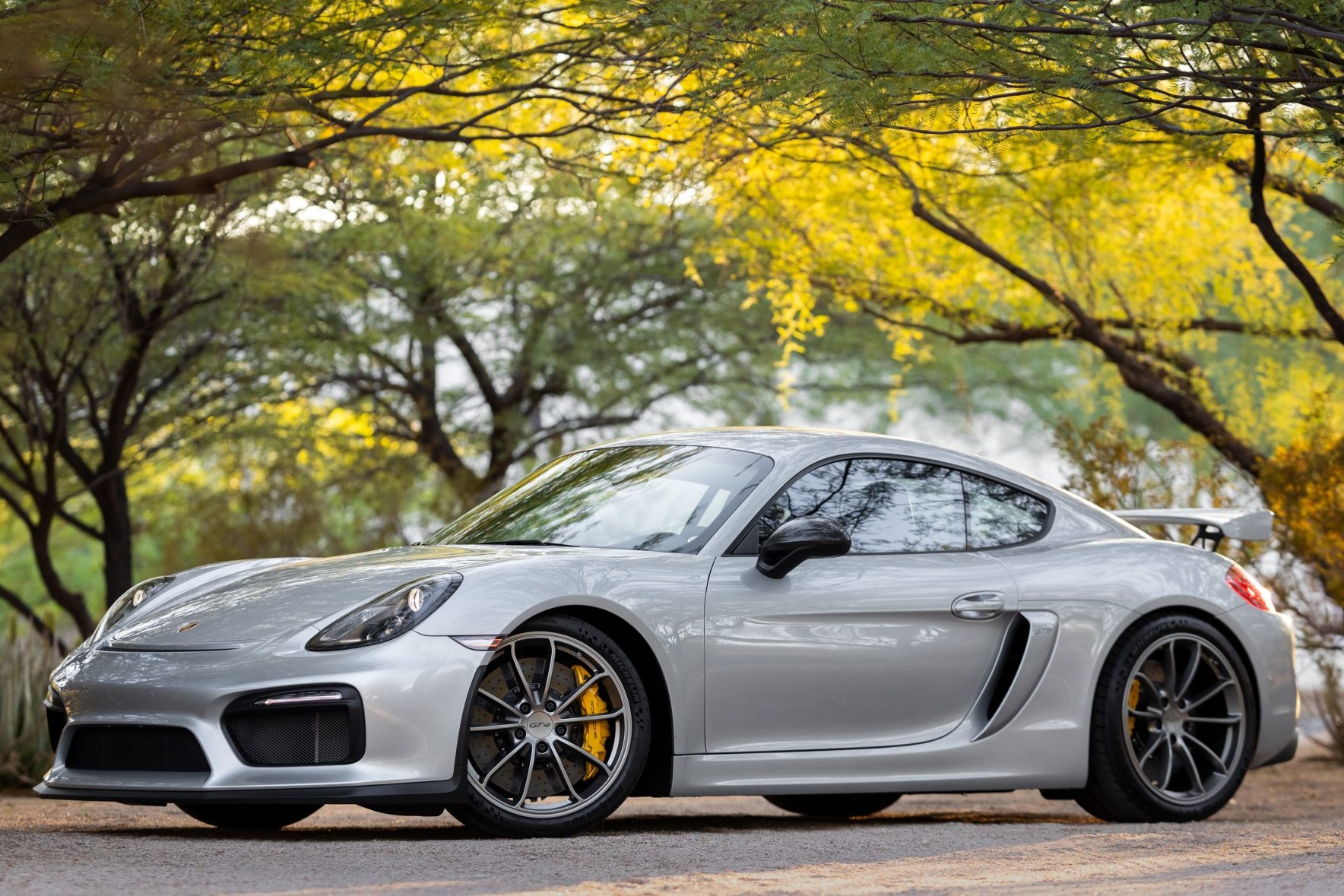 2016 Porsche Cayman GT4